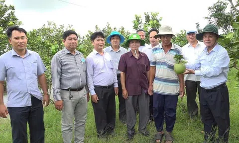 Kiên Giang phát huy vai trò xung kích của nông dân sản xuất, kinh doanh giỏi