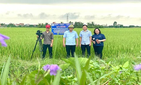 Nam Tân: Hợp tác xã dẫn lối - nông nghiệp cất cánh