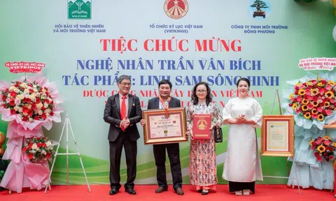 Cây Linh sam sông Hình đi vào huyền thoại