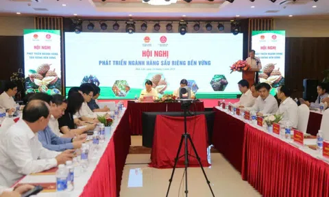 Thúc đẩy phát triển hiệu quả, bền vững ngành sầu riêng Việt Nam