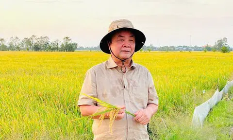 Trí thức nâu - Những người gieo chữ giữa đồng