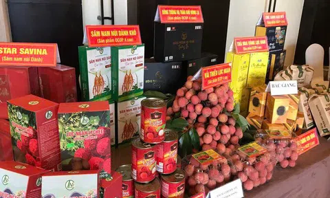 Bắc Giang dẫn đầu khu vực miền núi phía Bắc về số lượng sản phẩm OCOP