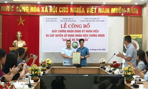 Lễ công bố Giấy chứng nhận đăng ký nhãn hiệu và Cấp quyền sử dụng nhãn hiệu chứng nhận "Gạo tẻ đỏ Trạm Tấu"