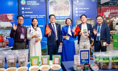 Top 10 mẫu cà phê đặc sản Việt Nam 2025 tham gia Triển lãm Busan Coffee Show