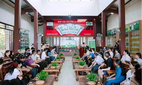 Vùng chè Thái Nguyên nâng cao chất lượng, xây dựng thương hiệu