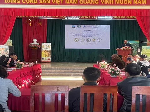 Hội thảo tổng kết phi dự án “Hoạt động thí điểm phát triển sinh kế thích ứng với biến đổi khí hậu cho phụ nữ nông thôn khu vực miền núi phía bắc Việt Nam”