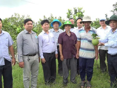 Kiên Giang: Xã Mong Thọ B (Châu Thành) phát huy vai trò xung kích của nông dân sản xuất, kinh doanh giỏi