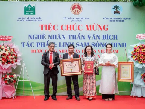 Cây Linh sam sông Hình đi vào huyền thoại