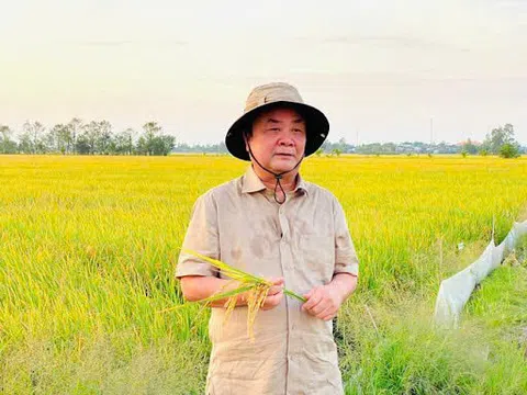 Trí thức nâu - Những người gieo chữ giữa đồng