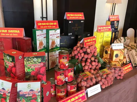 Bắc Giang dẫn đầu khu vực miền núi phía Bắc về số lượng sản phẩm OCOP