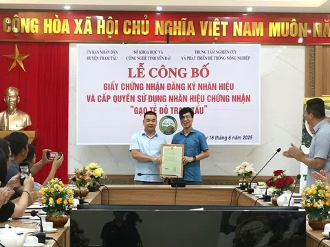 Lễ công bố Giấy chứng nhận đăng ký nhãn hiệu và Cấp quyền sử dụng nhãn hiệu chứng nhận "Gạo tẻ đỏ Trạm Tấu"