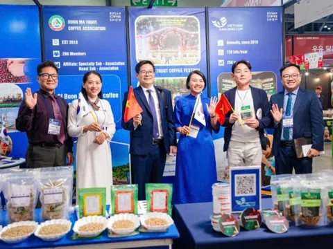Top 10 mẫu cà phê đặc sản Việt Nam 2025 tham gia Triển lãm Busan Coffee Show