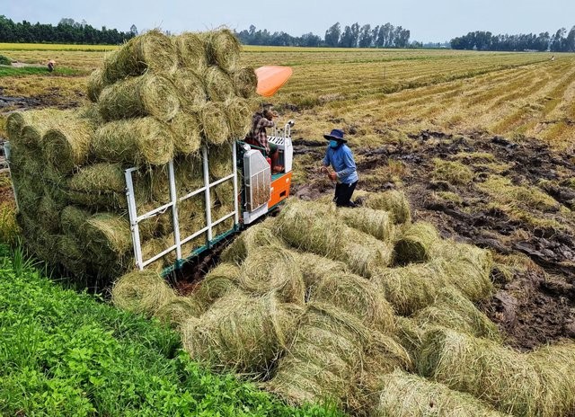 Kinh tế tuần hoàn, xu thế tất yếu phát triển nông nghiệp bền vững
