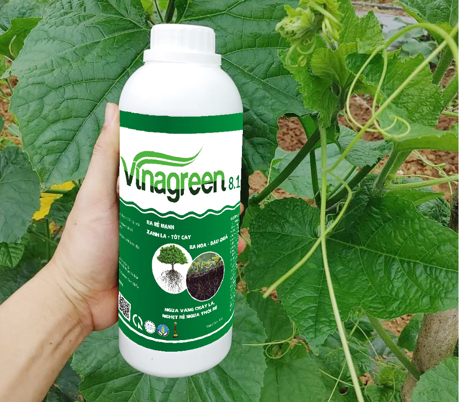 vinagreen-1-1700560593.png