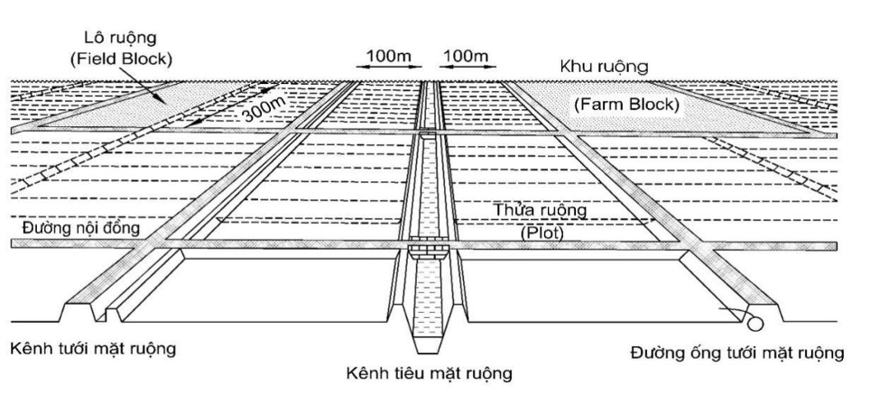 anh-chup-man-hinh-2024-06-20-luc-080622-1718845651.png