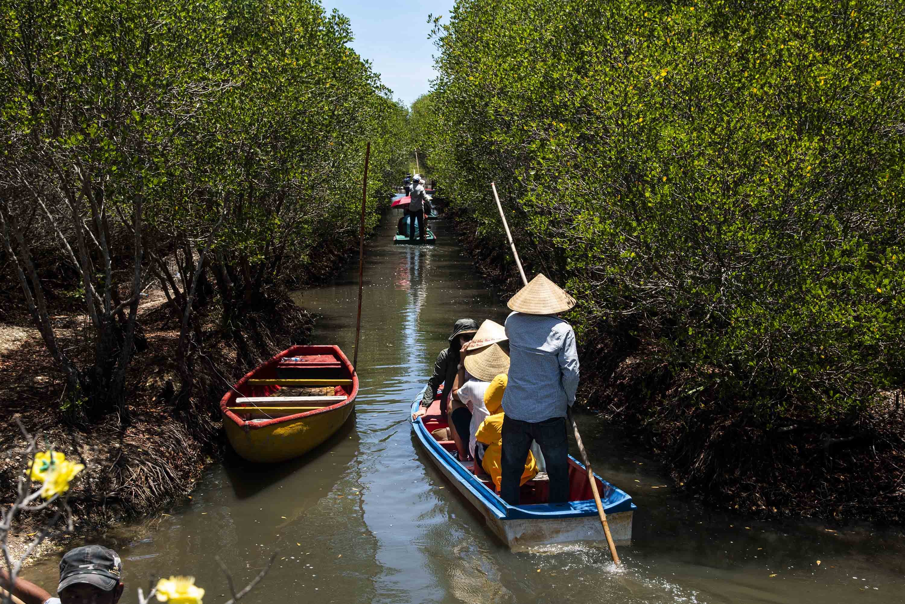 3-cac-thanh-vien-to-cong-dong-dua-du-khach-tham-quan-rung-trong-trong-bau-ca-cai-anh-nguyen-dang-lam-1729429261.jpg