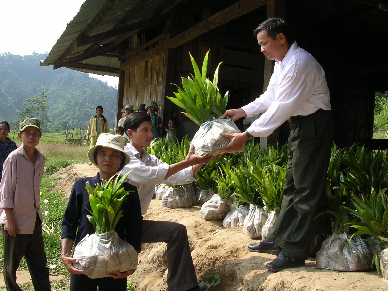 8-tu-dau-nam-2003-lanh-dao-huyen-son-tay-da-cap-phat-cau-giong-de-ba-con-cac-xa-phat-trien-cay-cau-1730187753.JPG