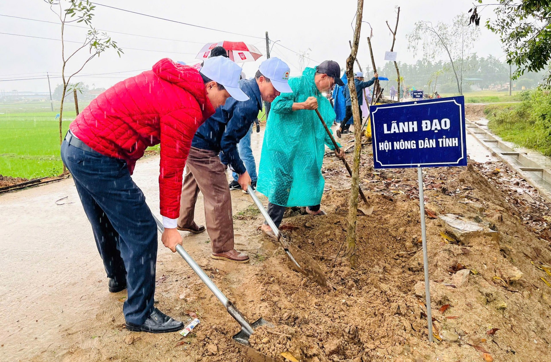 6-lanh-dao-hoi-nong-dan-va-lanh-dao-huyen-nghia-hanh-tham-gia-trong-cay-sau-le-phat-dong-1738743774.jpg