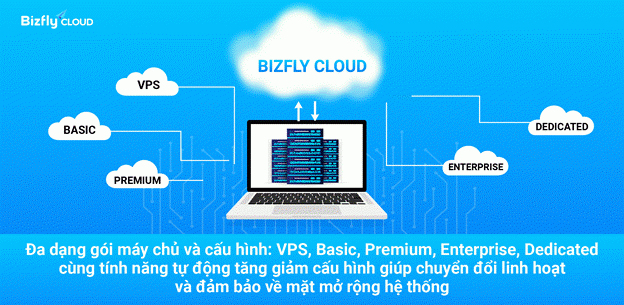 bizfly-3-1740131805.png