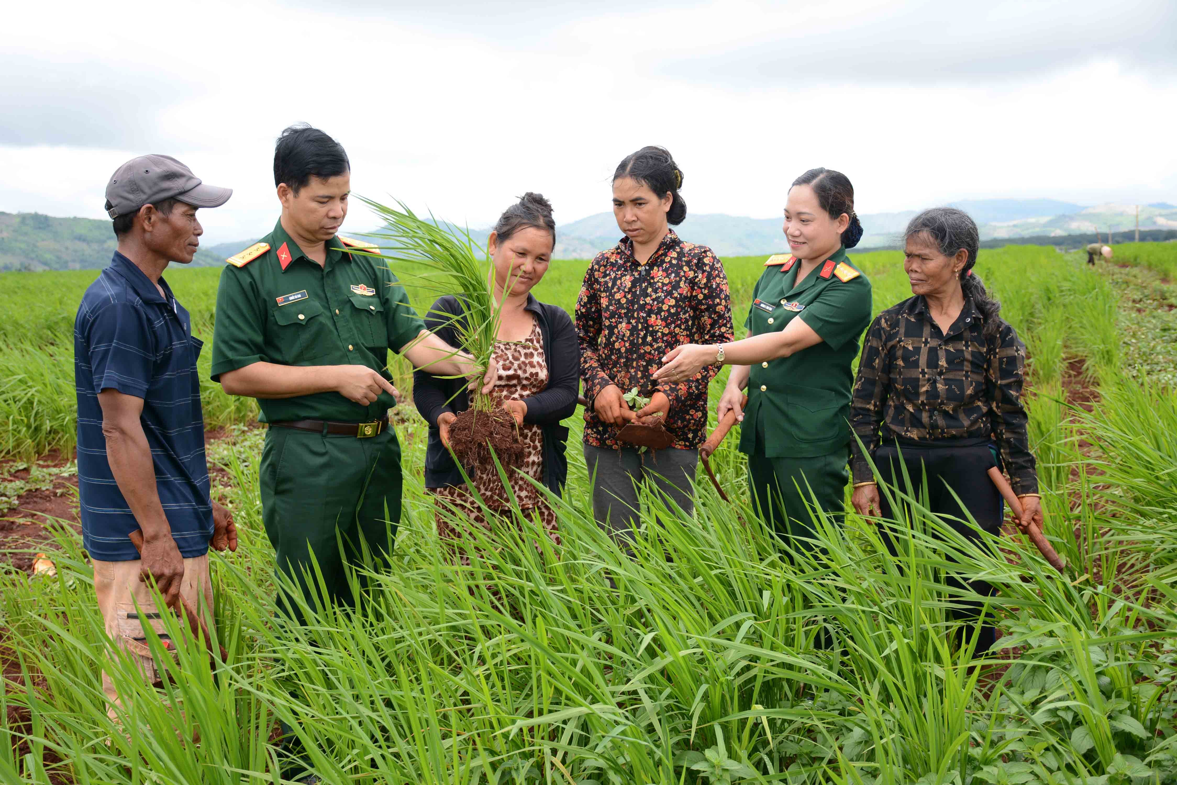 2-can-bo-binh-doan-15-huong-dan-ba-con-o-duc-co-gia-lai-trong-lua-xen-canh-1740457112.jpg