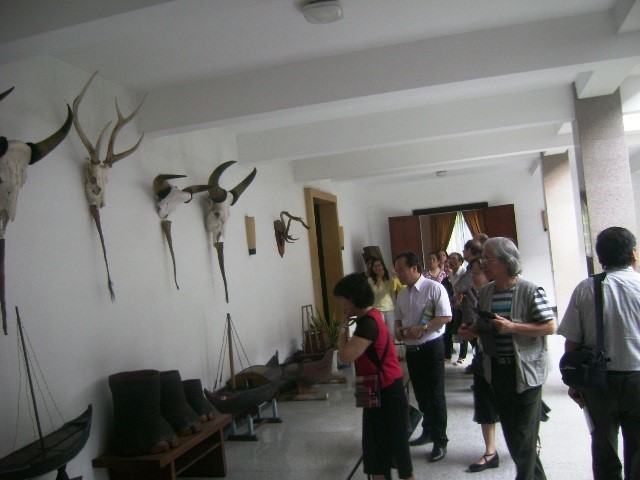 dt4hcm4-1745249761.jpg