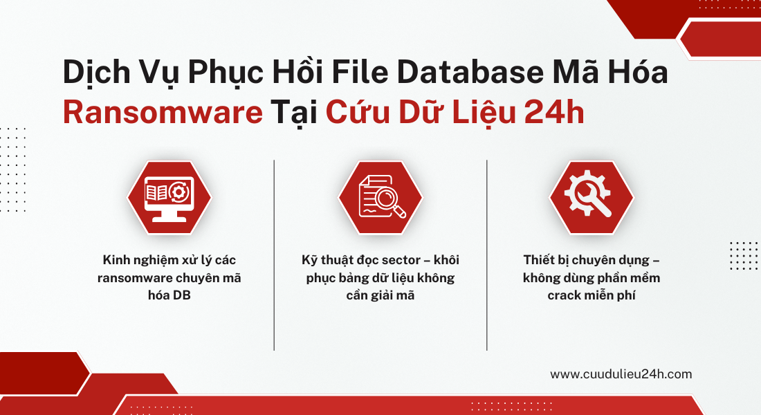 dich-vu-phuc-hoi-file-database-ma-so-ransomware-tai-cuu-du-lieu-24h-1747219705.png