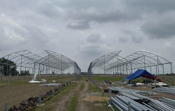 kieufarm2-1747709310.jpg