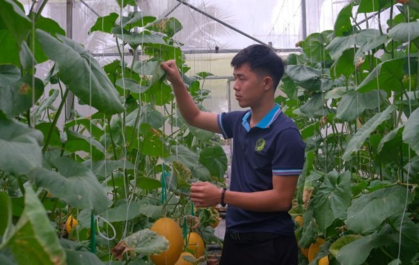 kieufarm4-1747709311.jpg