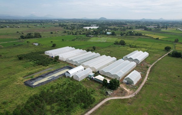 kieufarm5-1747709311.jpg