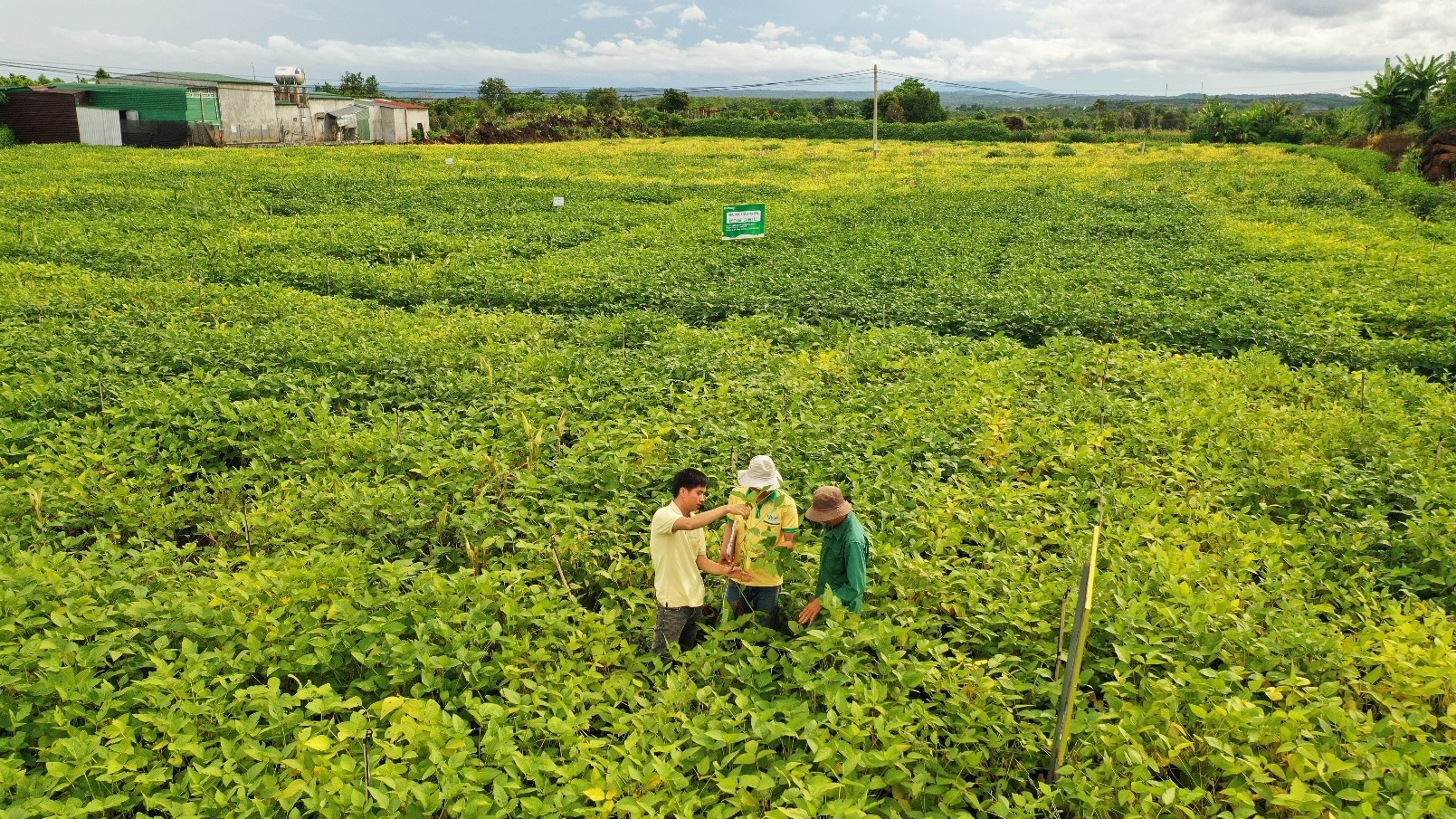 Chuyện người giữ sức khỏe cho đất