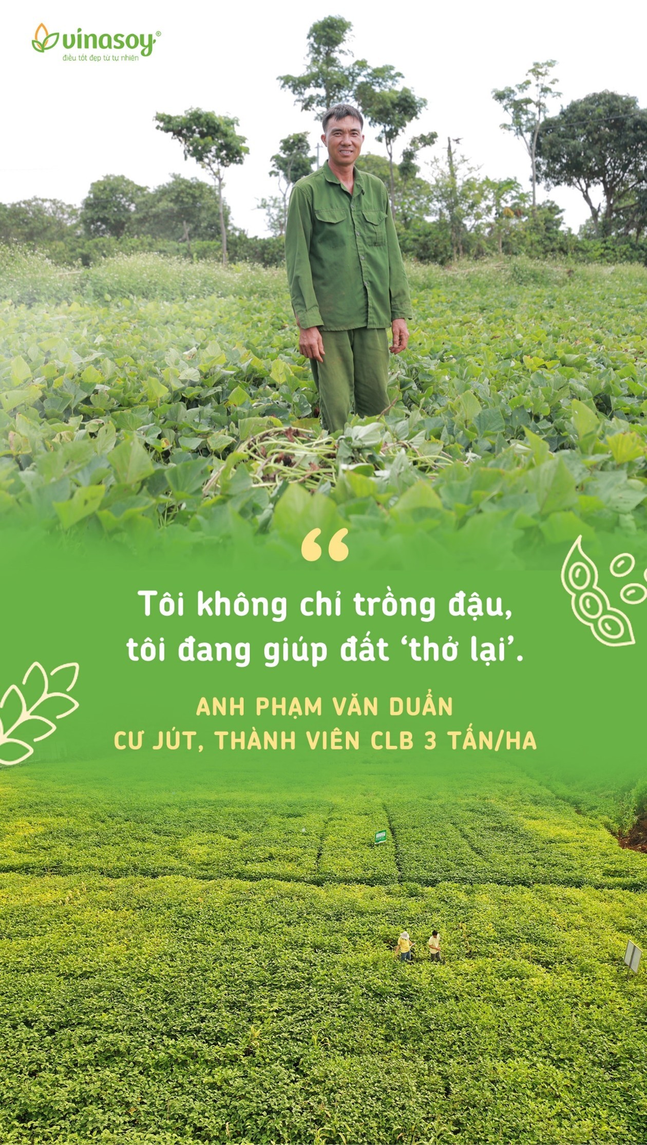 giu-suc-khoe-cho-dat1-1747884340.jpg