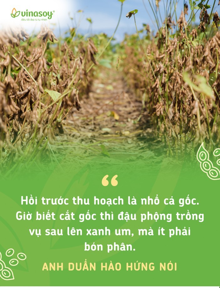 giu-suc-khoe-cho-dat4-1747884338.jpg