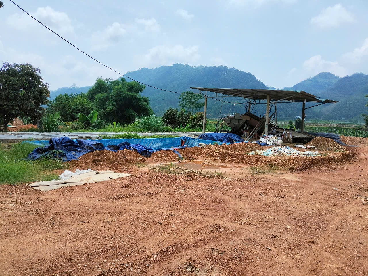 chiemhoa-6-1748054570.jpg
