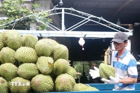 img-3079-1749030197.jpeg