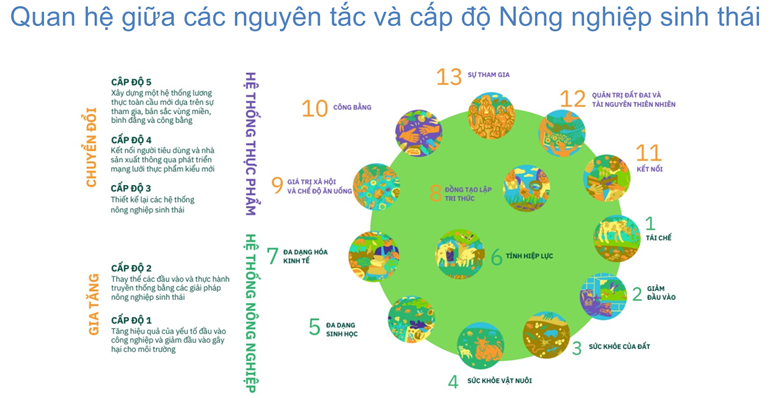tai-xuong-1749114435.png
