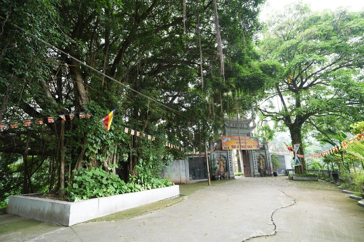 duong-vao-chua-pho-linh-1749802597.jpg