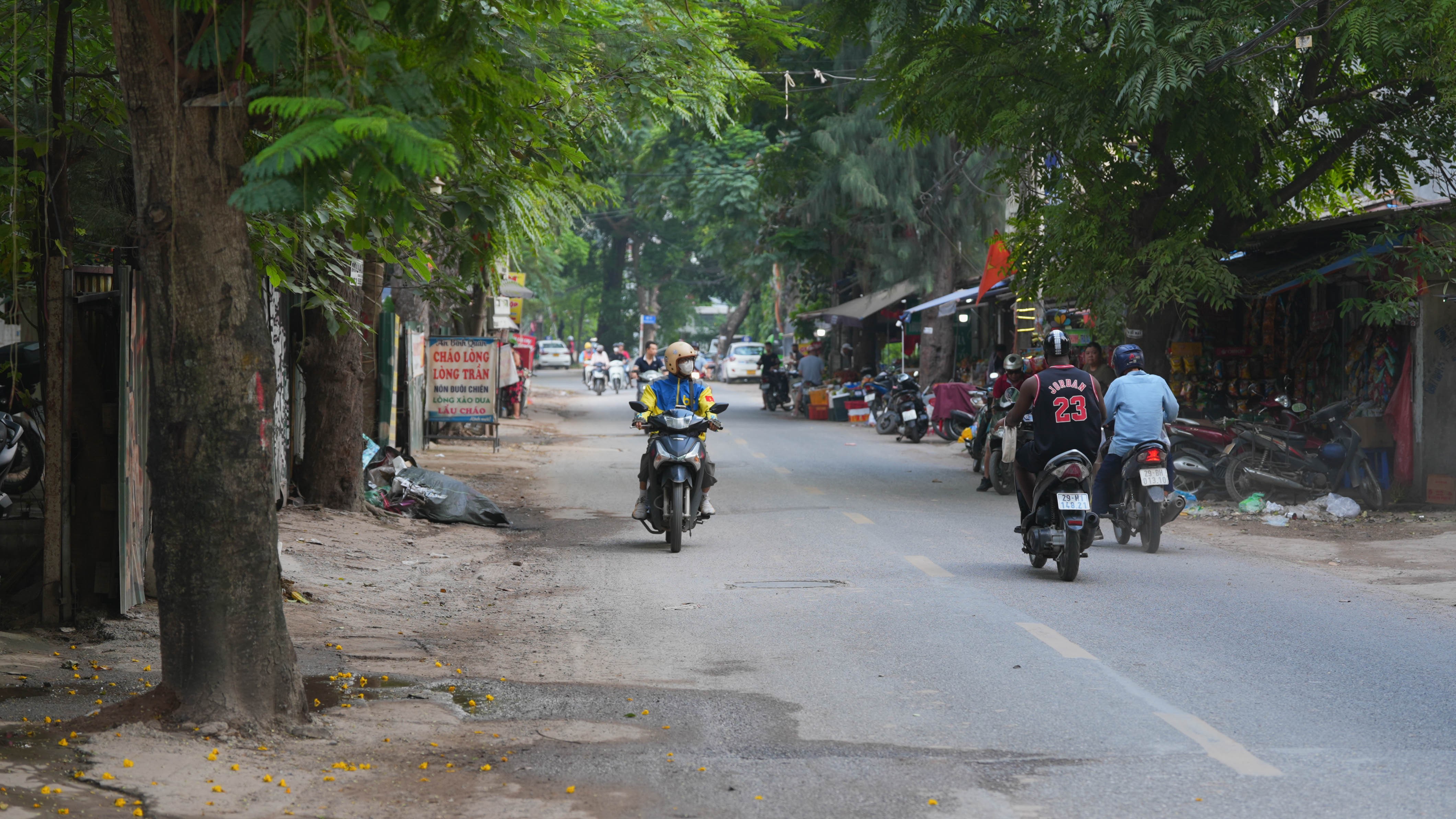 lan-chiem-long-duong-dang-thai-mai-1749801285.jpeg