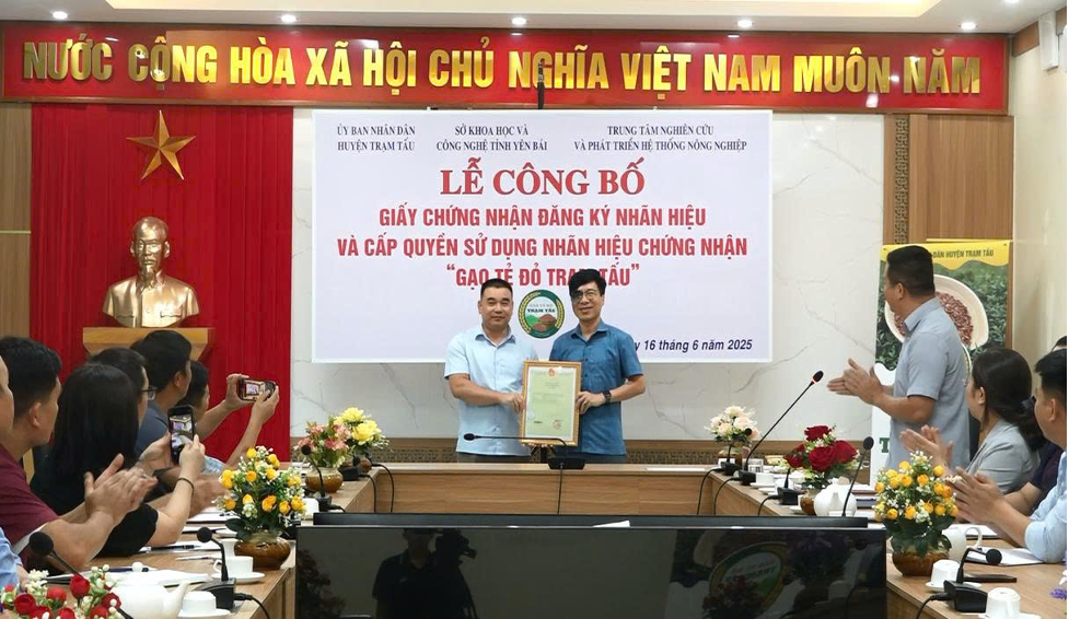 Lễ công bố Giấy chứng nhận đăng ký nhãn hiệu và Cấp quyền sử dụng nhãn hiệu chứng nhận "Gạo tẻ đỏ Trạm Tấu"