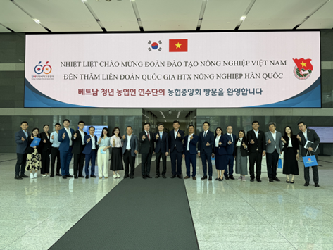 nong-dan-tre-viet-nam-1-1750831655.png