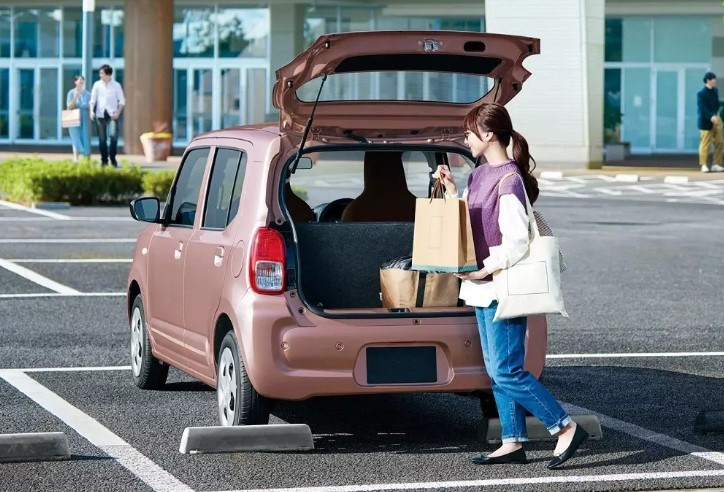 Tin xe 25/6: Hạ bệ Hyundai Grand i10 và Kia Morning, Suzuki ra mắt mẫu ô tô giá rẻ gần bằng Honda SH ảnh 1