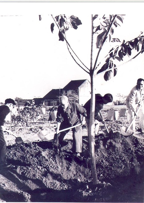 t4-1752504681.jpg