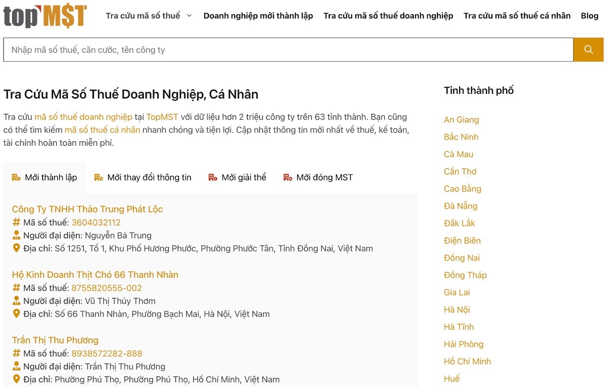 topmst-kenh-tra-cuu-ma-so-thue-doanh-nghiep-nhanh-chong-1753087793.jpg