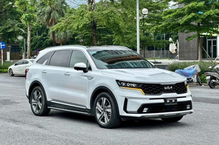 Tin xe trưa 10/8: Kia Sorento đe kẹt Ford Everest và Toyota Fortuner bằng giá lăn bánh cực rẻ ảnh 1
