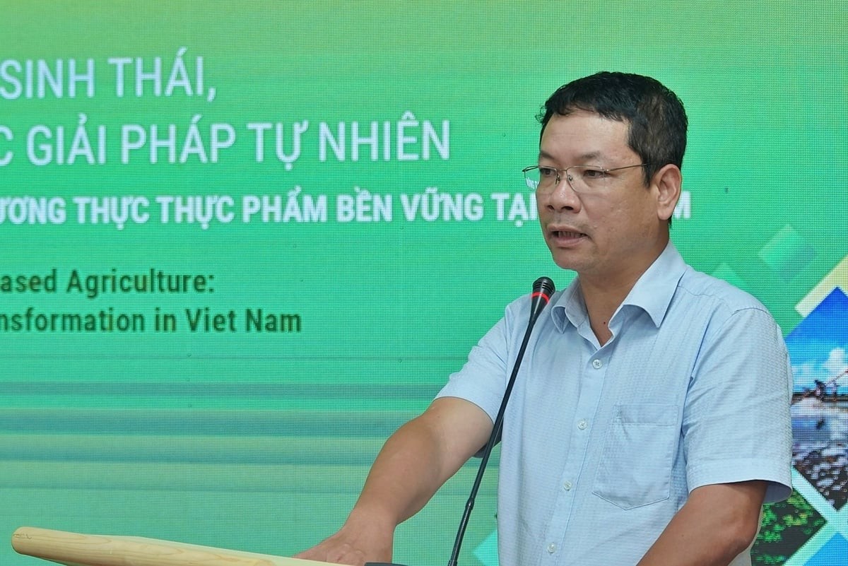 n02-1756271347.jpg