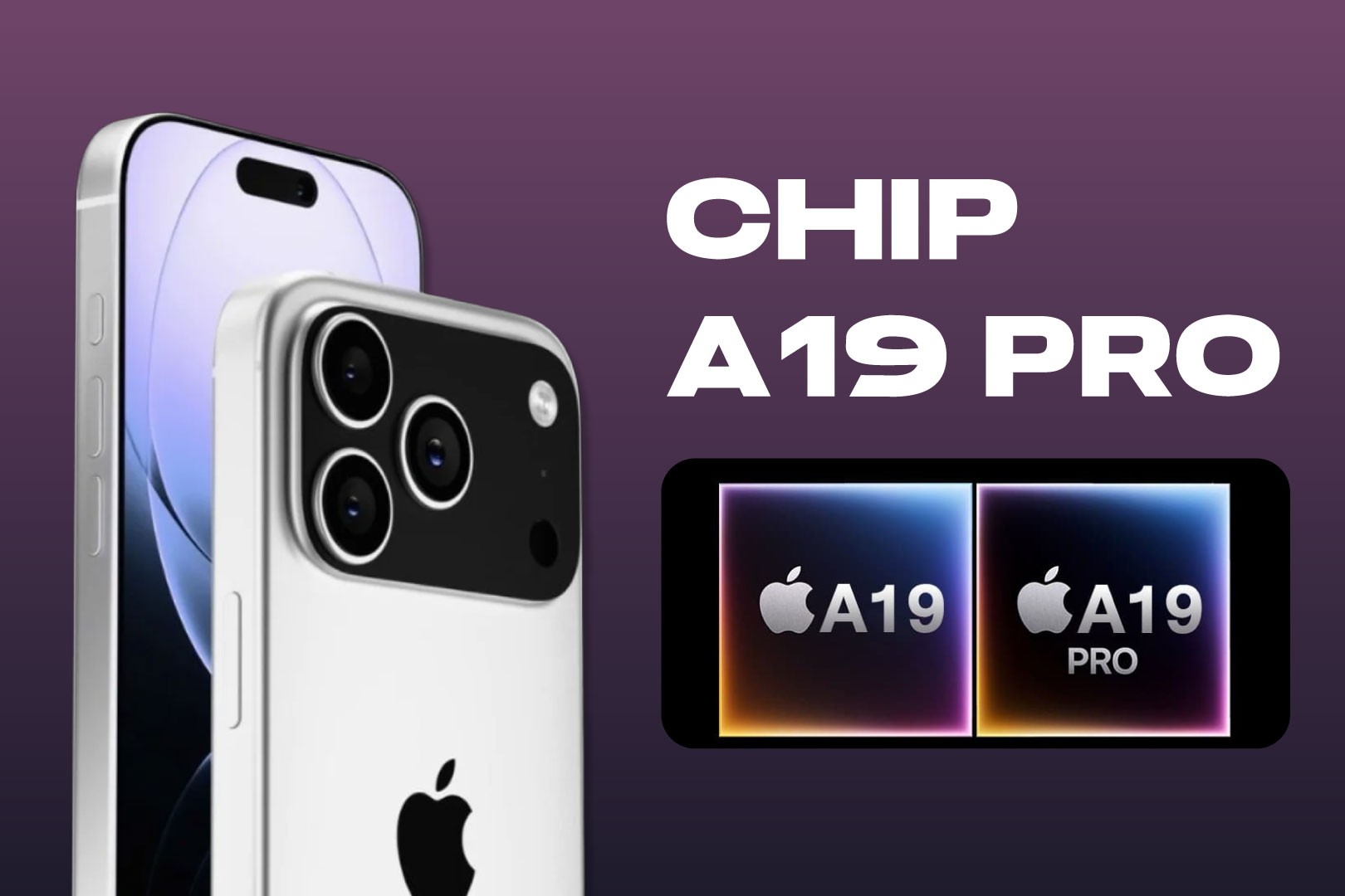 chip2-1757751640.jpg