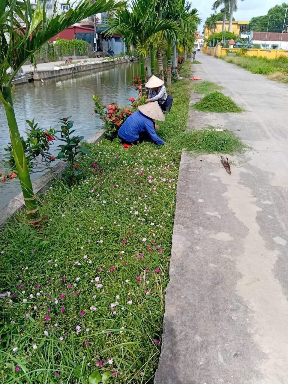 hai-hau-xay-dung-gia-dinh-5-co-3-sach-1761532793.jpg