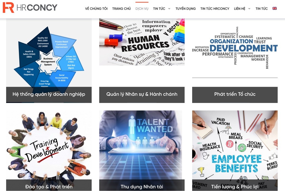 linh-vuc-hoat-dong-hrconcy-1761738715.jpg