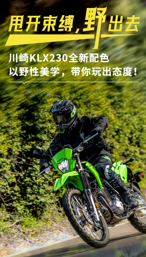 ‘Vua côn tay’ 233cc mới của Nhật ra mắt với giá hấp dẫn, thiết kế hoang dã làm lu mờ Yamaha Exciter ảnh 2