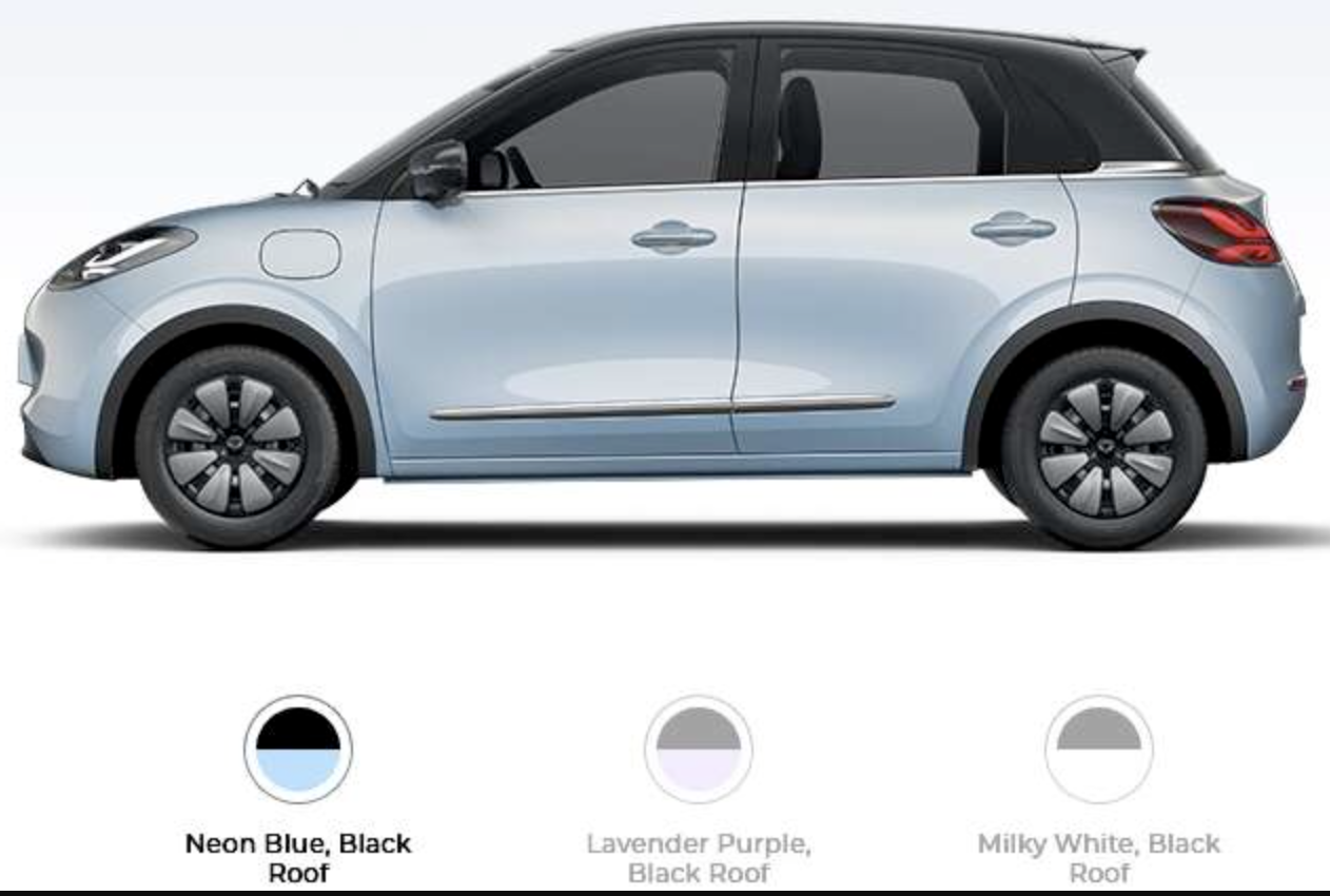 2hatchback-dien-moi-de-net-kia-morning-va-hyundai-i10-gia-chi-300-trieu-pham-vi-di-chuyen-410-km-1763624205.png
