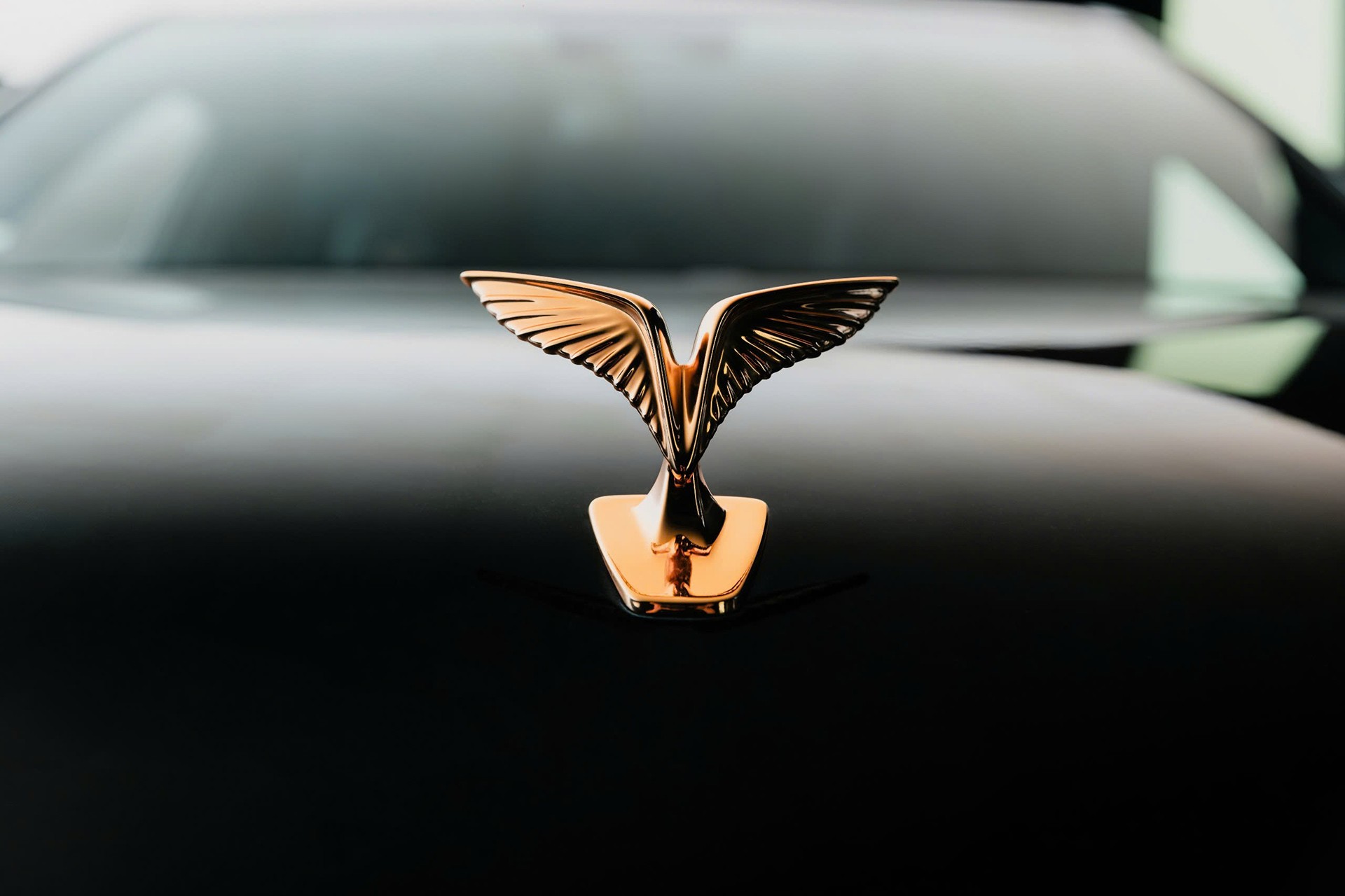 Lạc Hồng 900 LX - Chiếc xe đưa di sản Việt vào ngôn ngữ thiết kế hiện đại ảnh 2